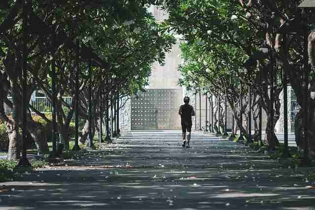 榴莲社区高手心得：热点冷却风险提示（172 ）